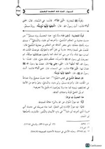 التنبيهات السنية / عبد العزيز الناصر الرشيد. ATANBIHAT ASSANIAH - Image 2